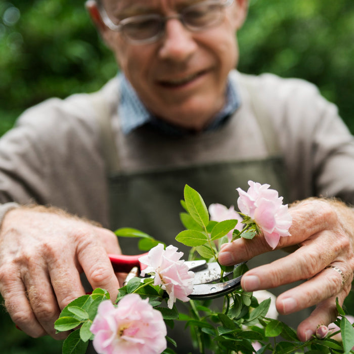 Warm Weather Activities for Caregivers and Seniors