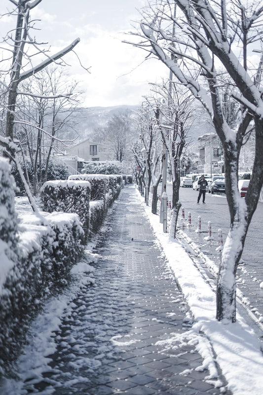 Navigating Icy Hazards with Handrails